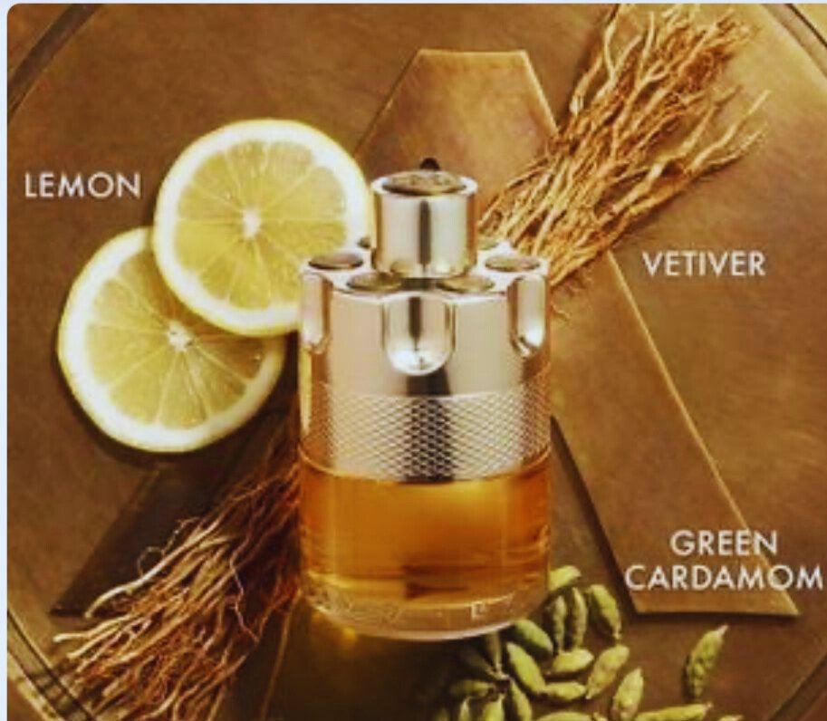 Wanted Azzaro Eau de Toilette -Perfume Masculino 100ml